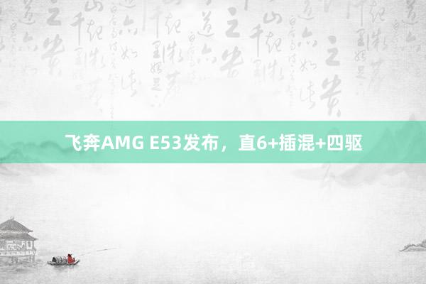 飞奔AMG E53发布，直6+插混+四驱