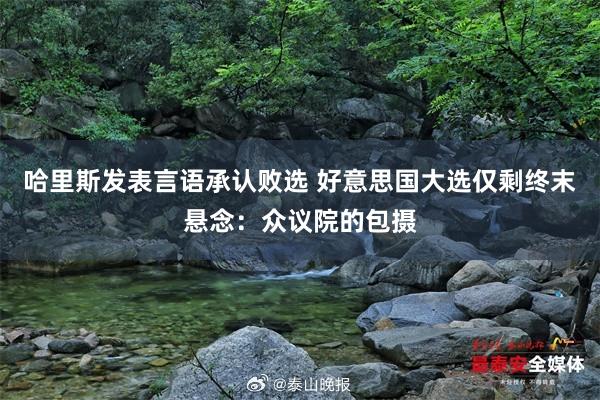 哈里斯发表言语承认败选 好意思国大选仅剩终末悬念：众议院的包摄