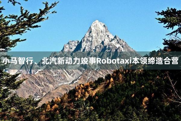 小马智行、北汽新动力竣事Robotaxi本领缔造合营