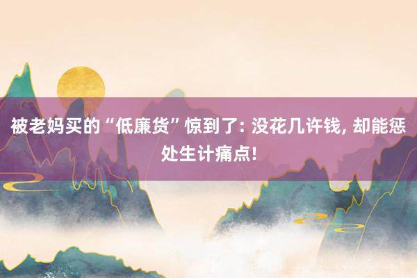 被老妈买的“低廉货”惊到了: 没花几许钱, 却能惩处生计痛点!