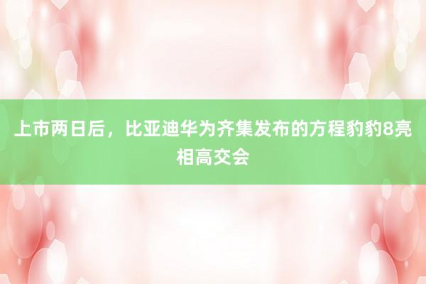 上市两日后，比亚迪华为齐集发布的方程豹豹8亮相高交会